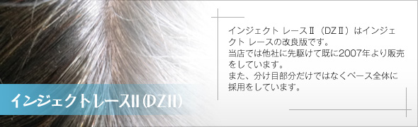 インジェクトレース2(DZ2)
